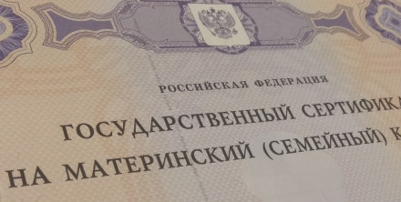 Российские власти обсудили возможность использовать маткапитал для заработка