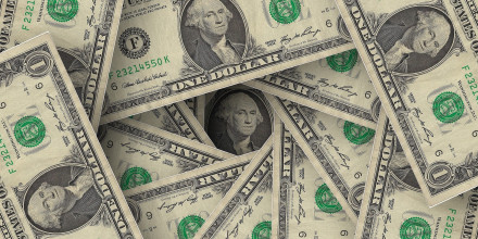 Аналитик перечислила валюты, которыми можно заменить доллар